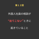 ⑫外国人社員の